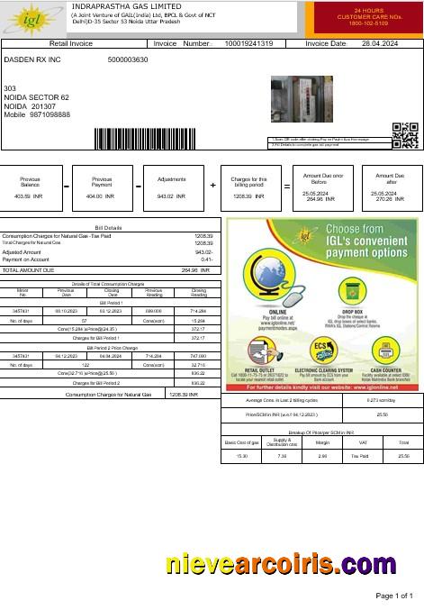 India INDRAPRASTHA GAS LIMITED business utility bill
